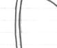 ani17x5.jpg